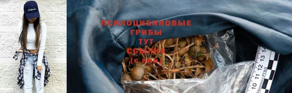 круглые Алзамай