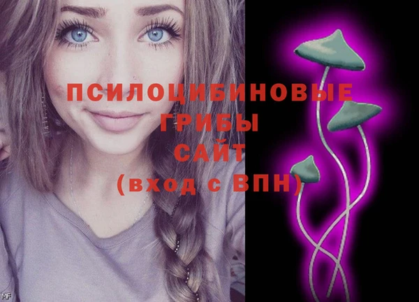 круглые Алзамай