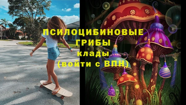 круглые Алзамай