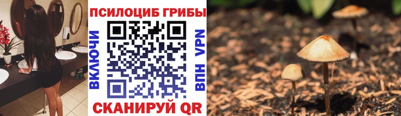 ОМГ ОМГ ONION  Ленинск  Псилоцибиновые грибы прущие грибы 